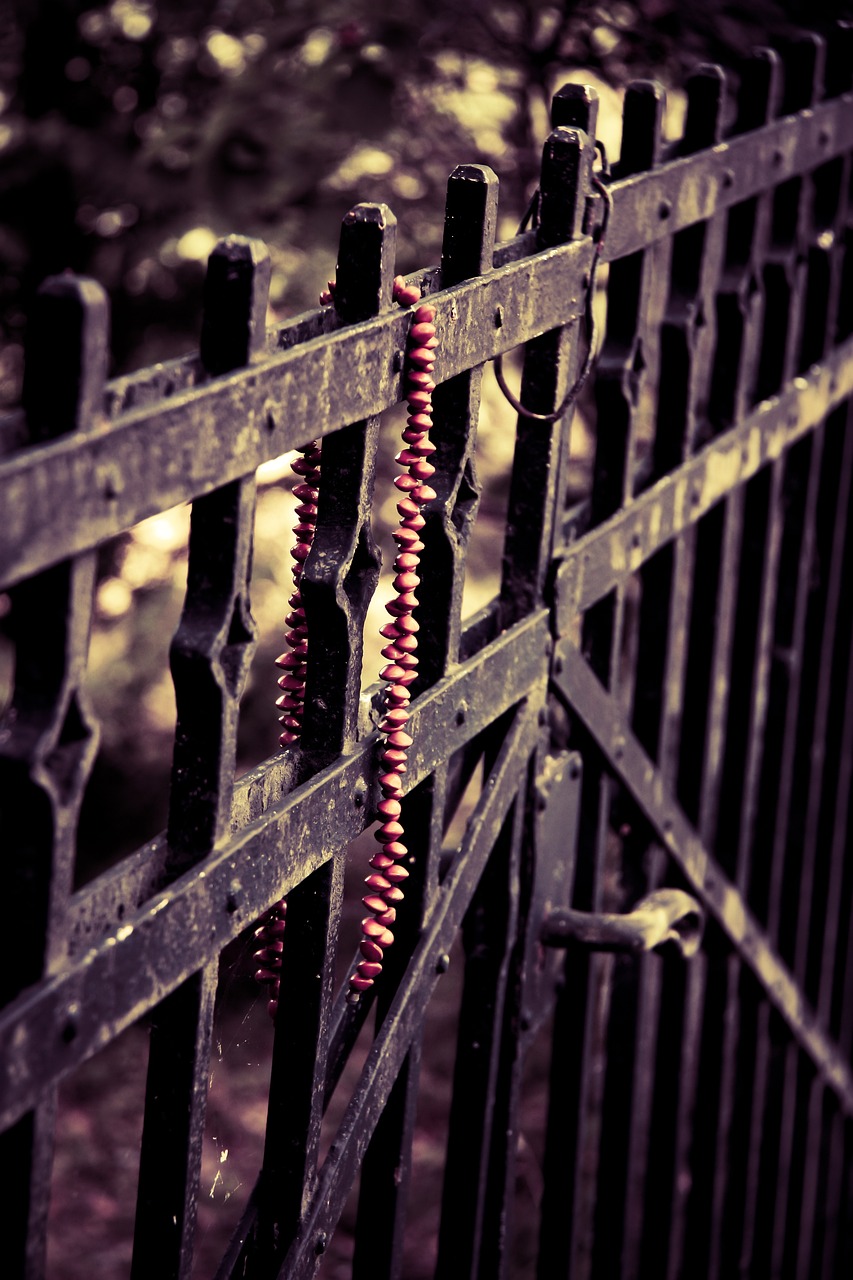 稀有金屬隕石最新探索，宇宙神秘禮物的最新消息