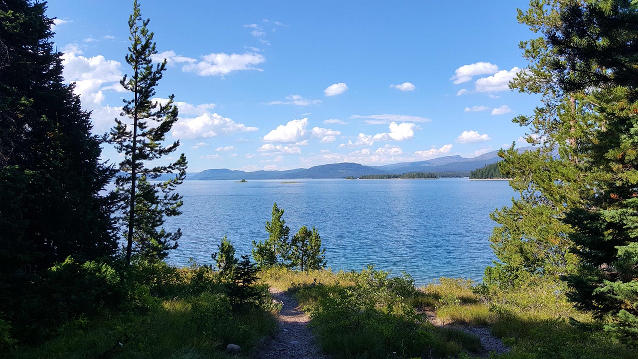 青娛樂最新地址探尋之旅，探索最新動(dòng)態(tài)與娛樂盛宴的門戶