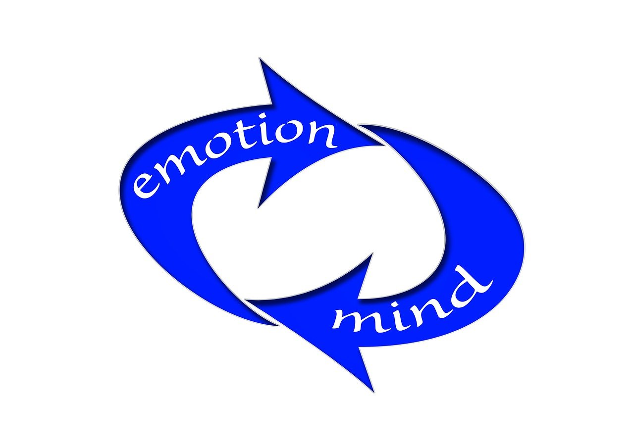 哈佛W01最新消息，引領(lǐng)教育創(chuàng)新與未來發(fā)展