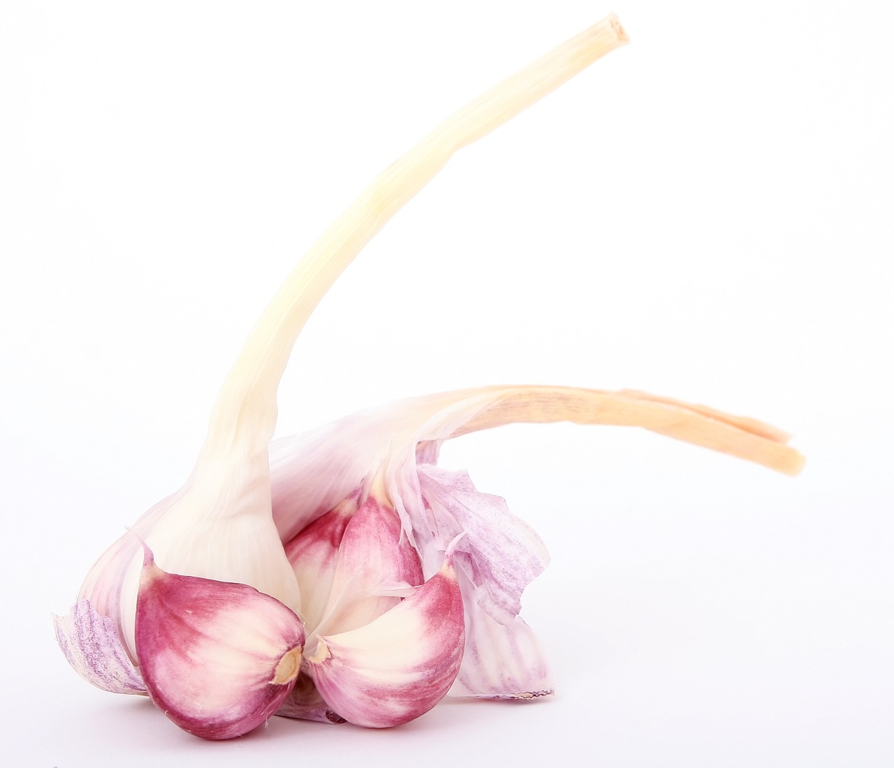 香兒最新廣場舞雙人舞，舞動生活的優(yōu)美旋律