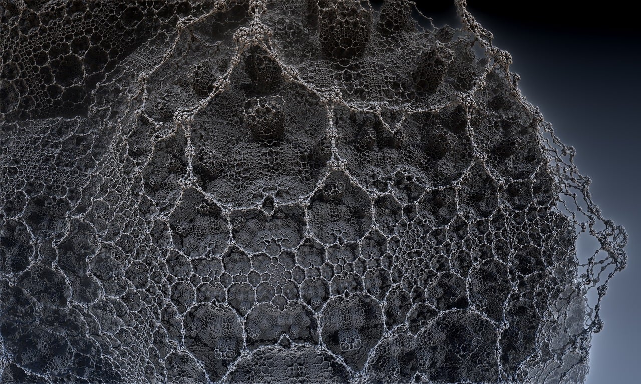 遼寧隋顯利最新動(dòng)態(tài)，傳奇人物的嶄新篇章