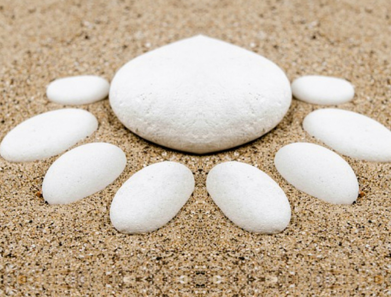 本兮官網(wǎng)最新動(dòng)態(tài)，音樂(lè)之旅全新啟程