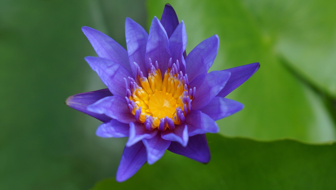 雙陽區(qū)火車站邁向現(xiàn)代化，提升服務質(zhì)量，最新動態(tài)報告