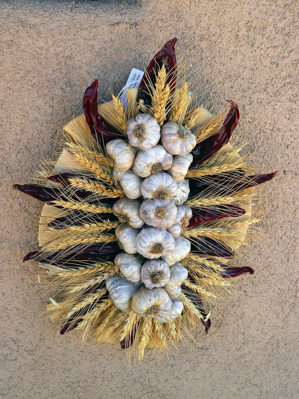 京北生態(tài)新城最新動態(tài)，綠色發(fā)展璀璨明珠的崛起