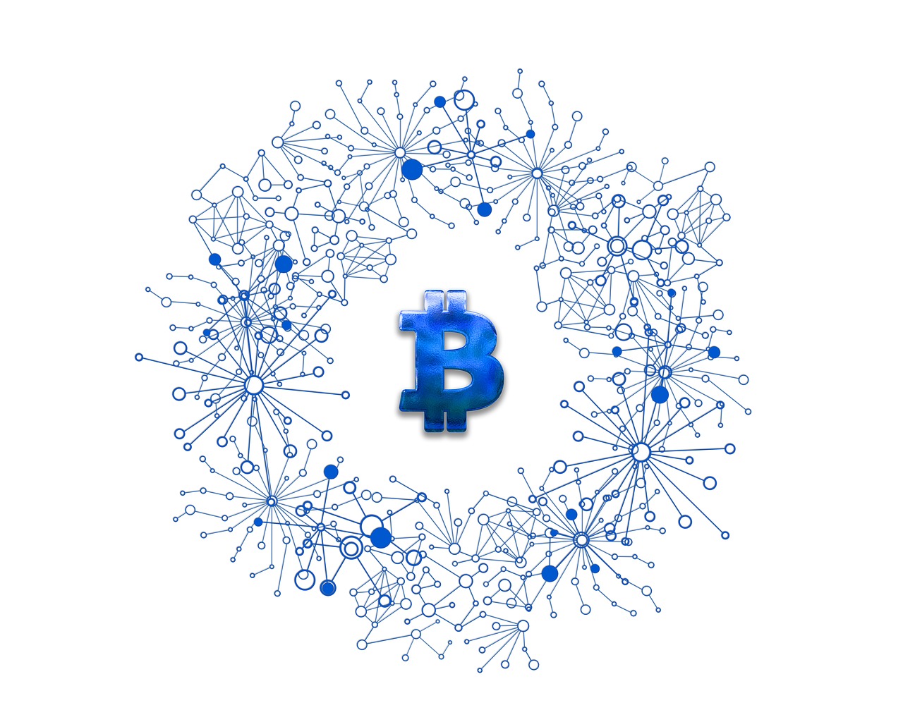 美人魚幣最新動態(tài)，探索數(shù)字貨幣新領(lǐng)域