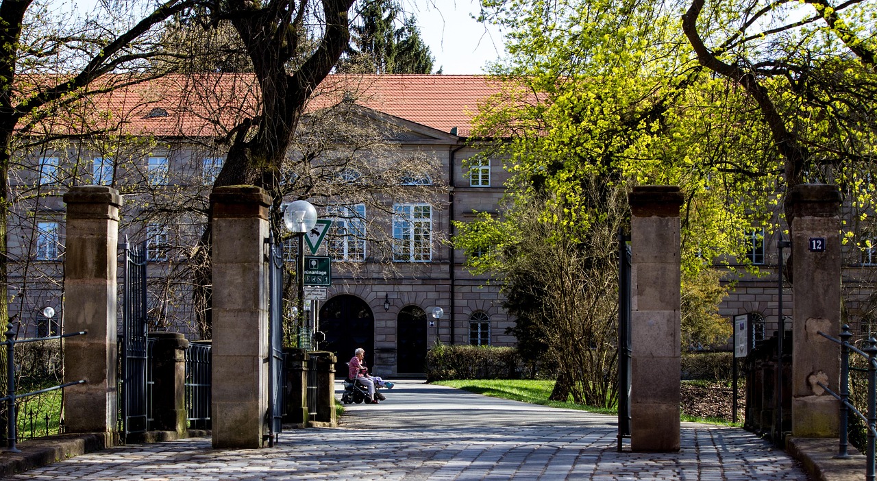 洛陽王城大道最新動態(tài)，城市發(fā)展的脈搏與未來展望