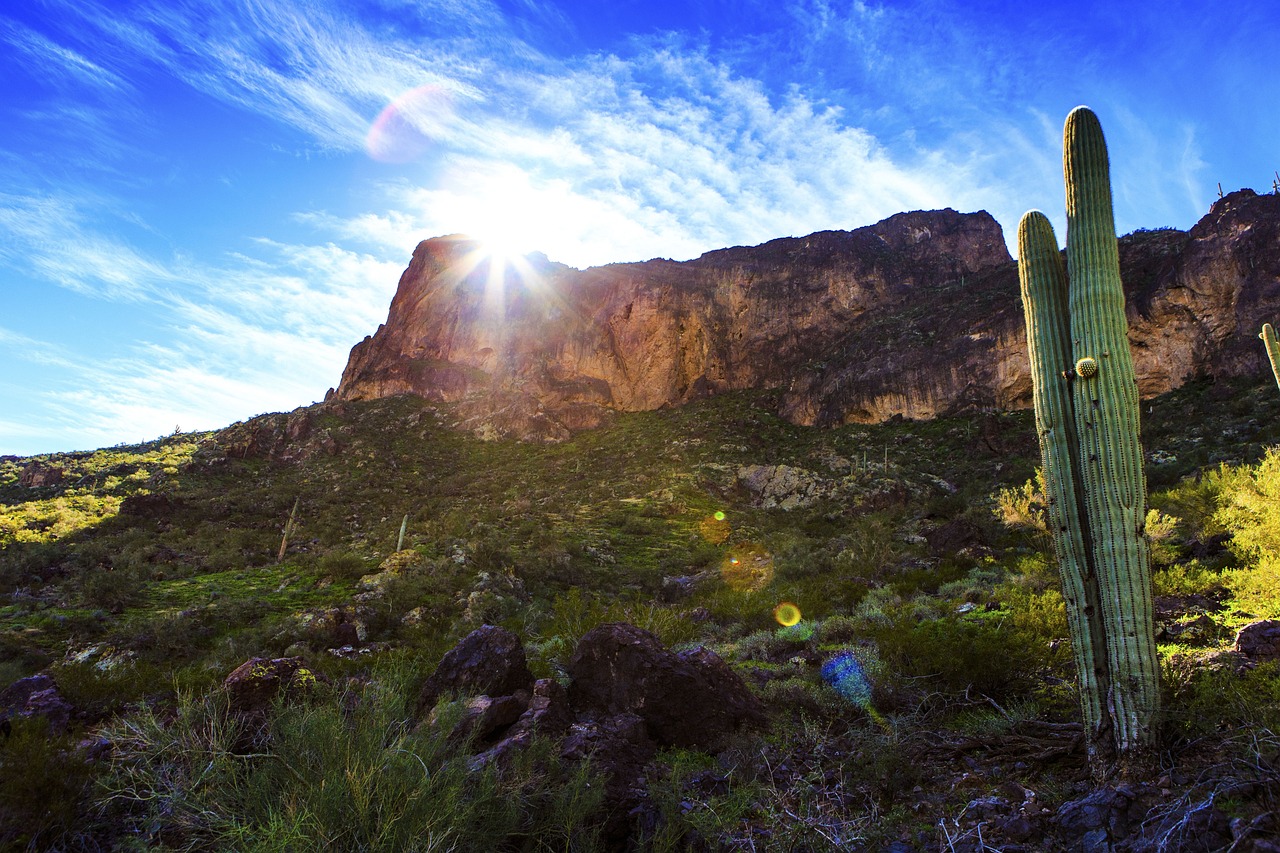 蘭州富士康最新動態(tài)，發(fā)展、影響與未來展望全面解讀
