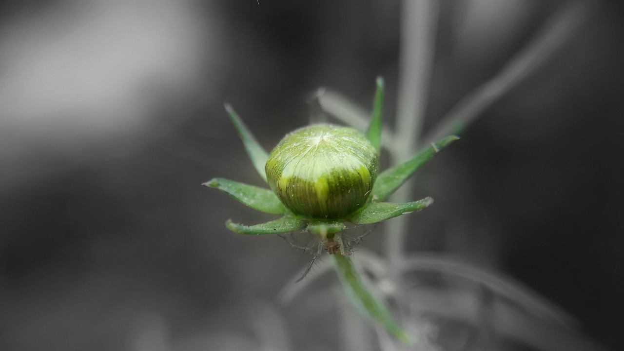 托普軟件最新消息深度解析，公司動(dòng)態(tài)與技術(shù)進(jìn)展一網(wǎng)打盡