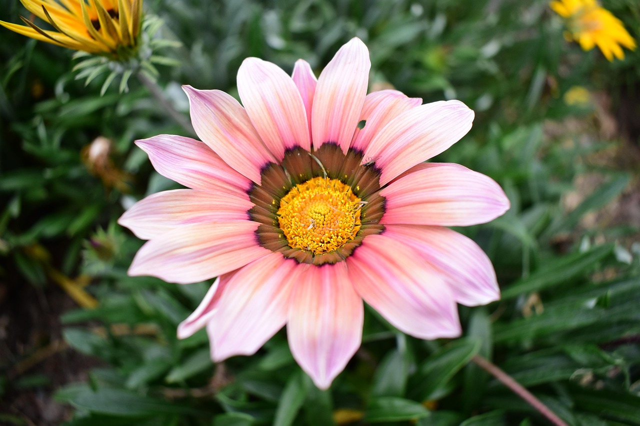 云聯(lián)惠重塑零售業(yè)格局的最新動態(tài)報道，重塑零售業(yè)的力量與趨勢分析