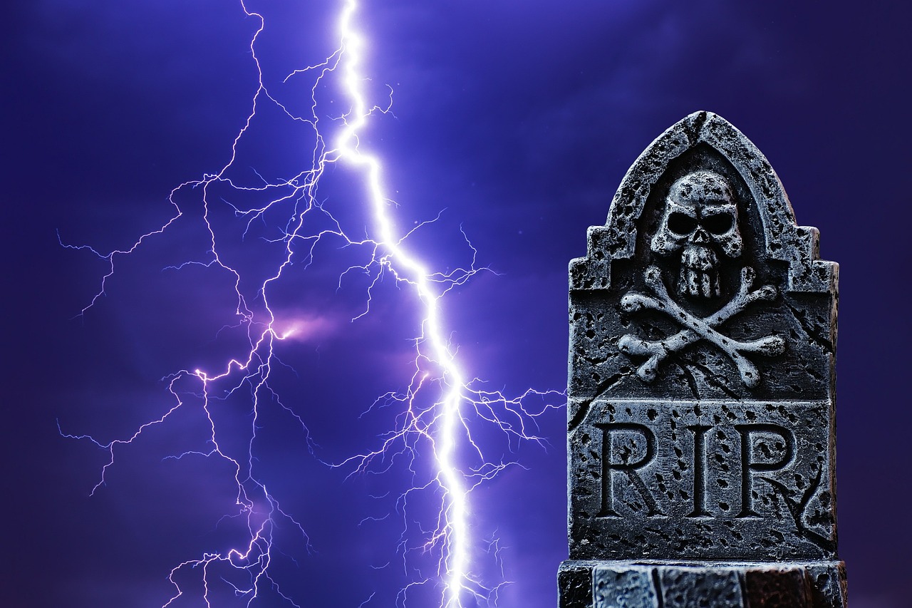 閃咖下載最新版本，探索其魅力與優(yōu)勢(shì)