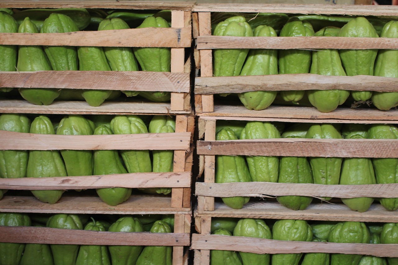 濱康綜合體最新動(dòng)態(tài)，城市發(fā)展的璀璨明珠閃耀光芒