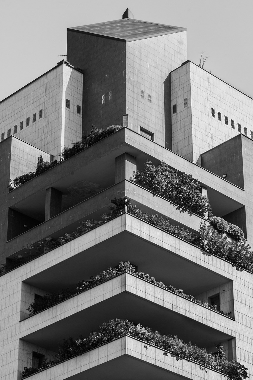 秦漢大道二期最新動態(tài)，建設進展及未來展望