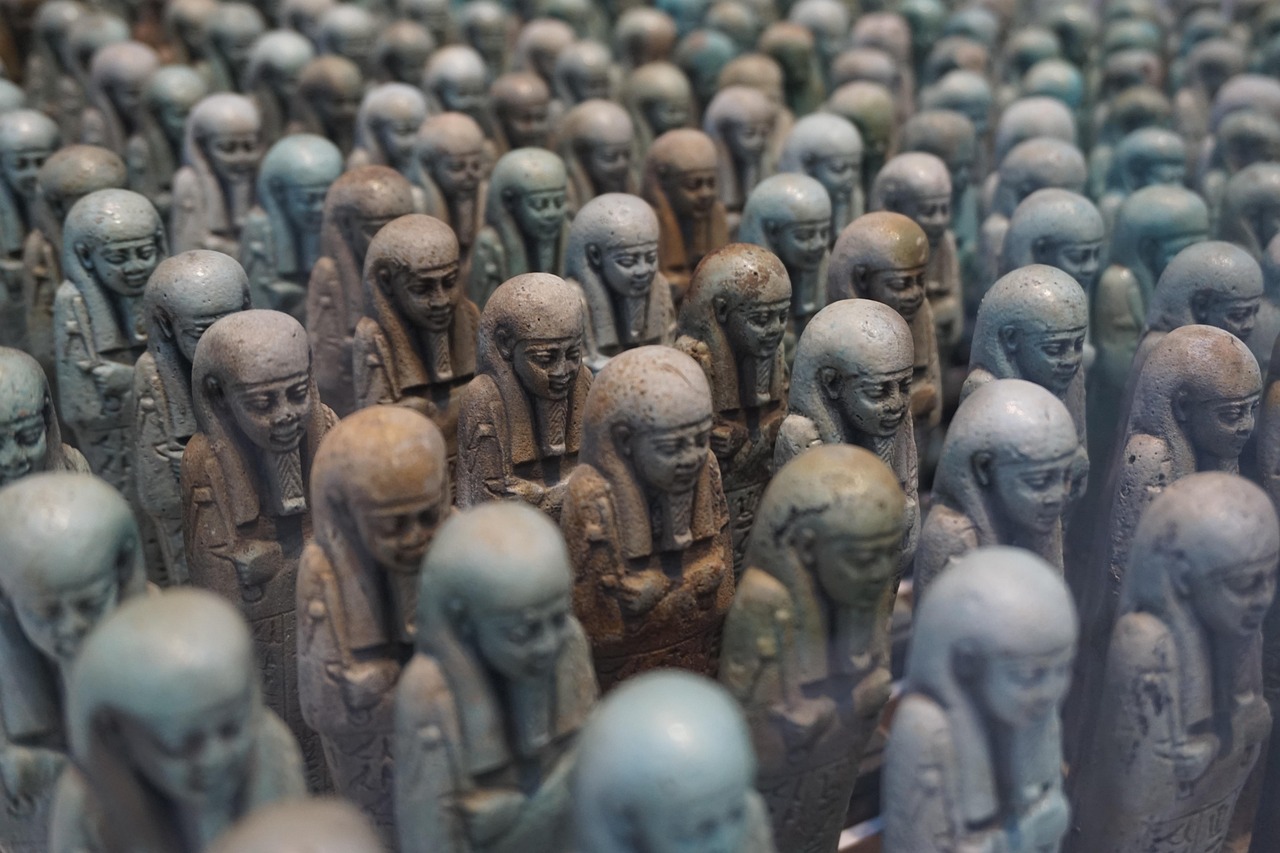 齊河一中最新動態(tài)更新