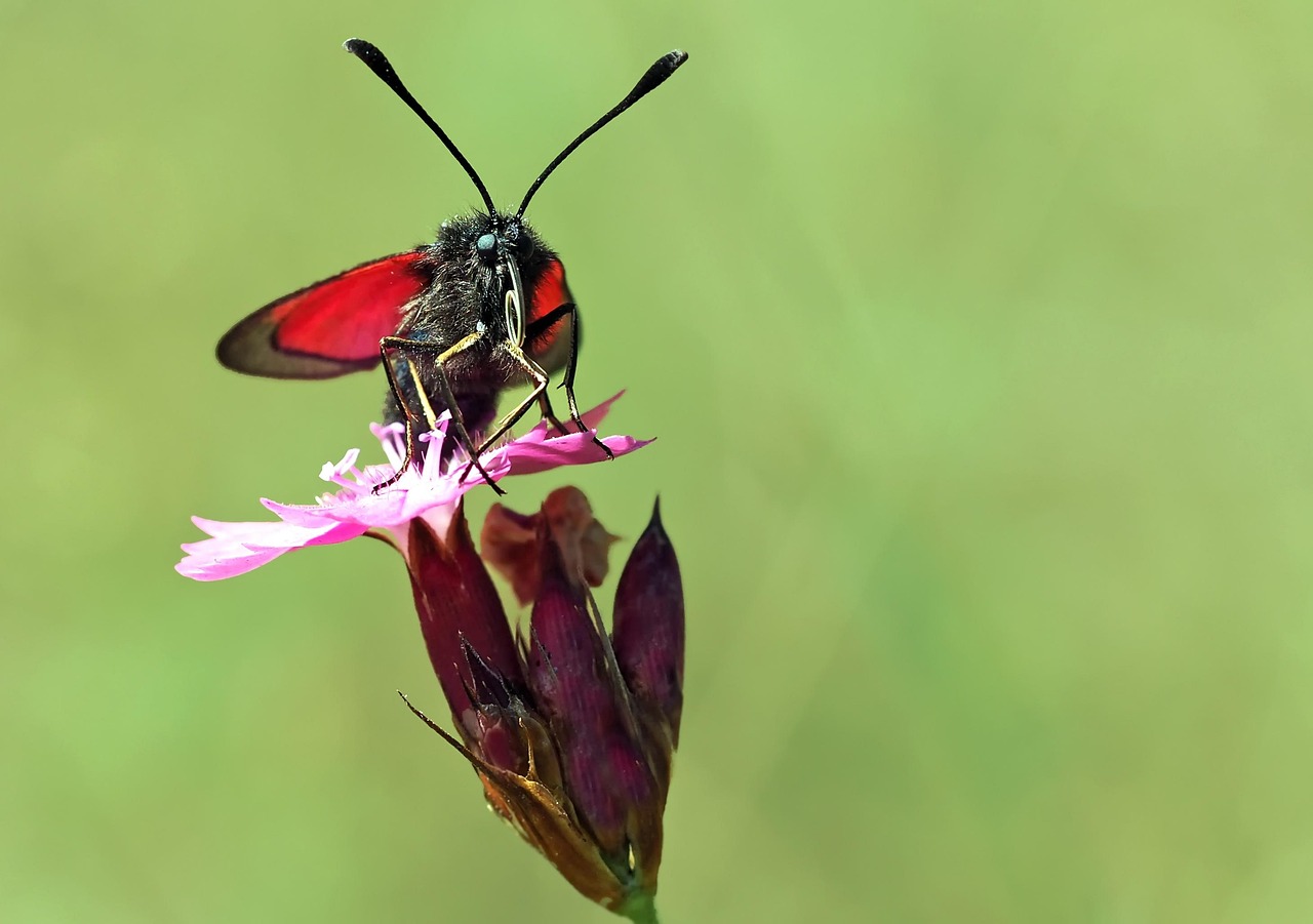 寂寞安撫 第9頁