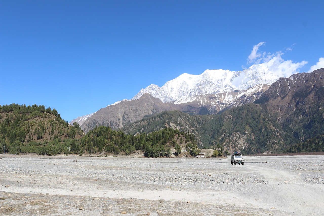 2025年2月 第12頁(yè)