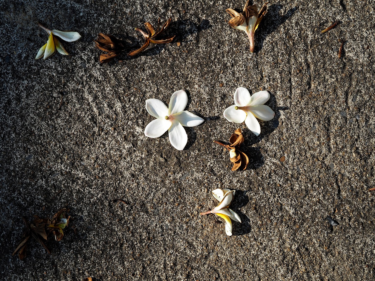 洪澤湖采砂最新動態(tài)更新，最新采砂消息揭秘