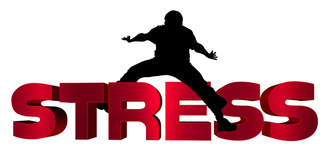 齊河二手車最新信息概覽，最新動(dòng)態(tài)一網(wǎng)打盡