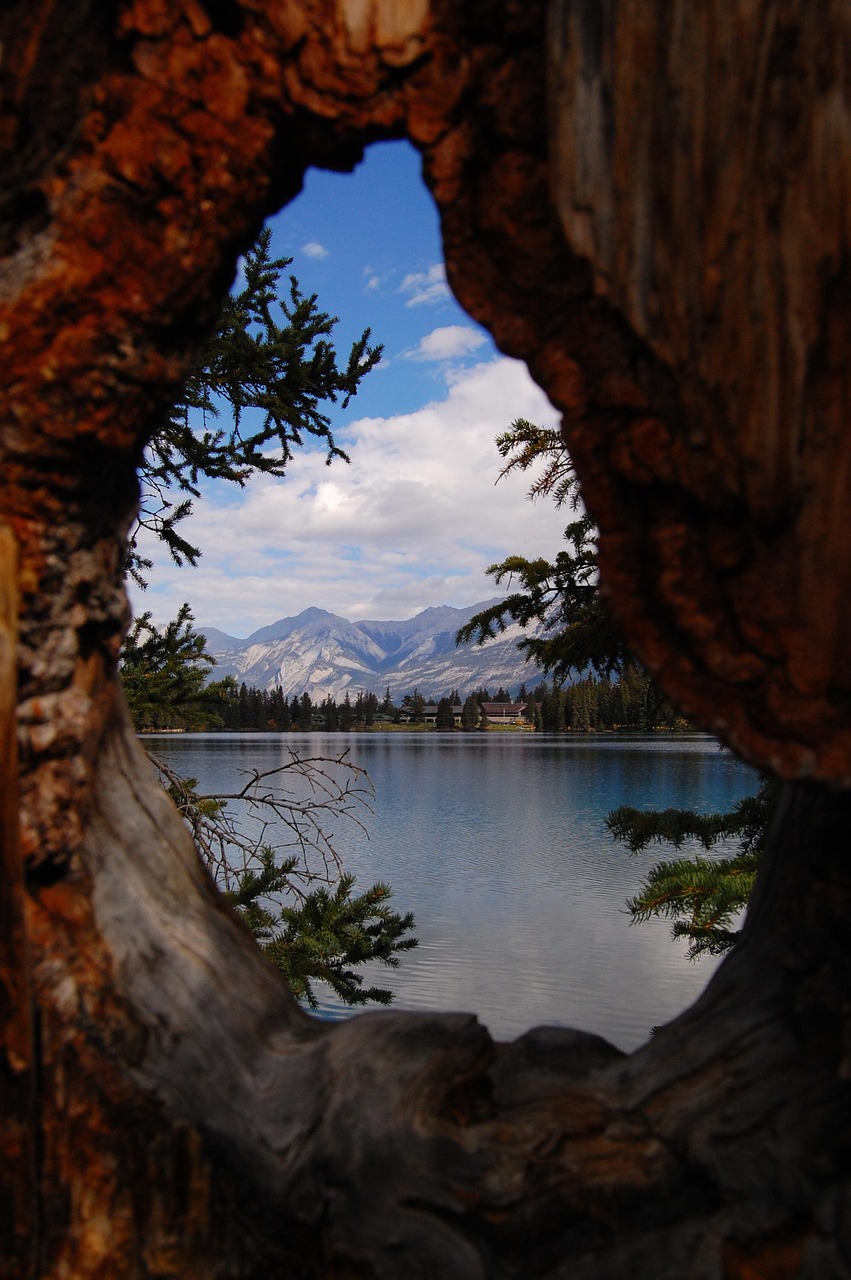 馬蓉最新動態(tài)與反思，風波中心的最新消息聚焦點