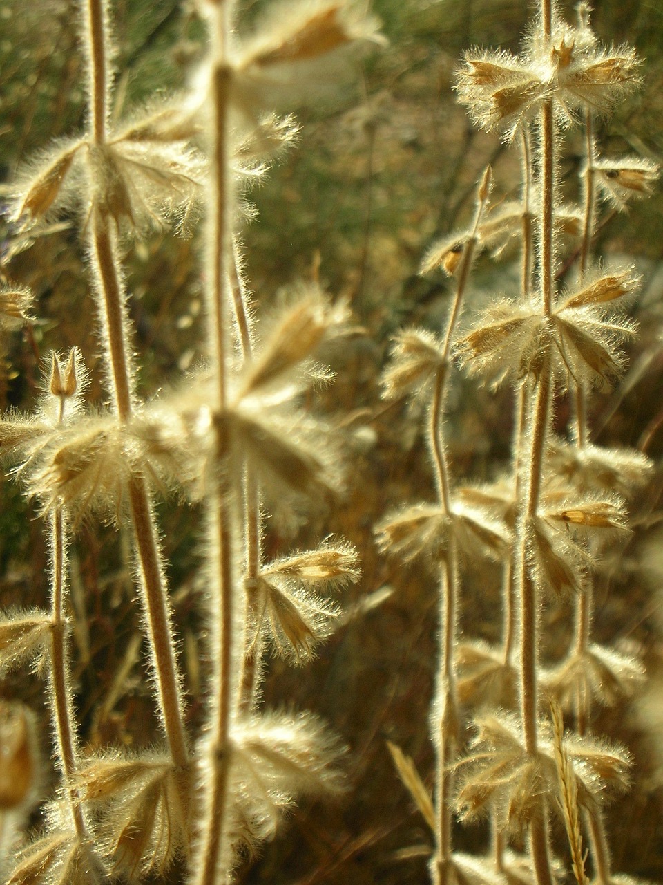 今日陽光M1最新動(dòng)態(tài)，開啟電動(dòng)智能出行新篇章