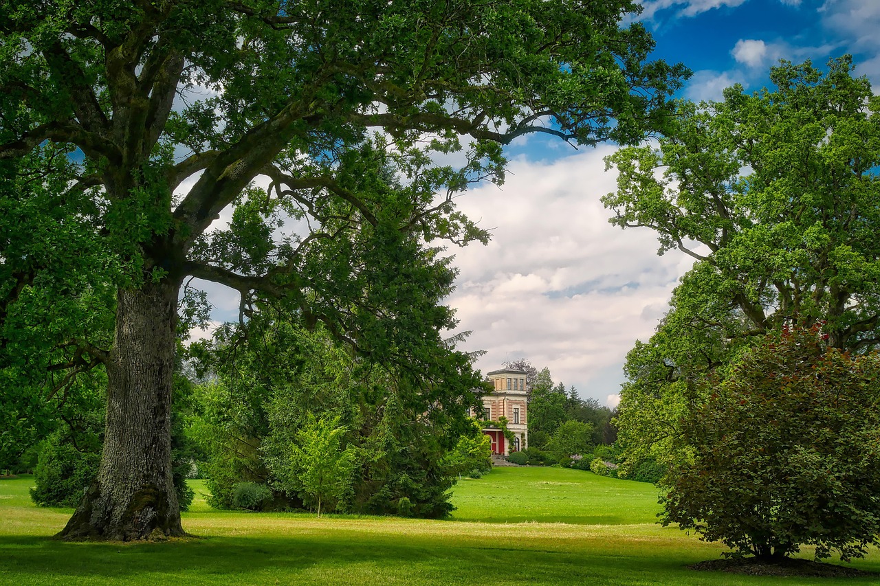 愛濤尚書云邸最新動態(tài)揭秘，城市繁華生活新篇章