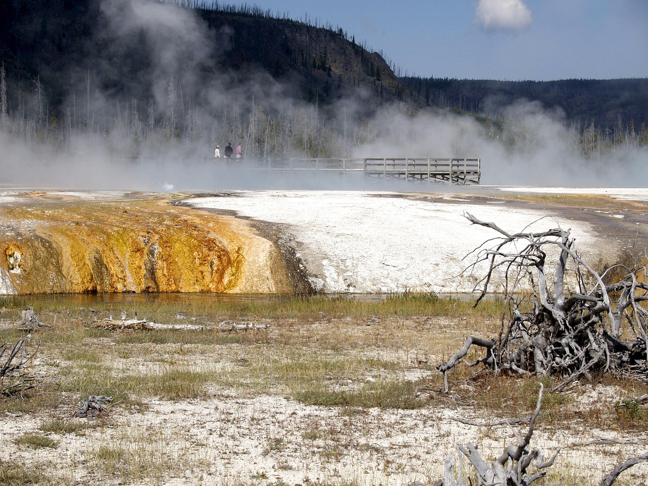 宏澤中央公園最新動態(tài)速遞，最新消息一覽