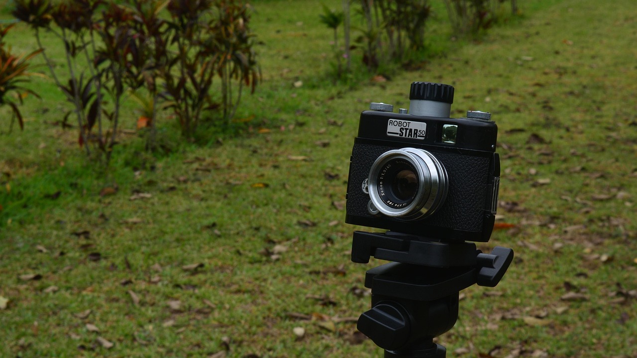 孔令輝與馬蘇的最新動(dòng)態(tài)，體育界耀眼明星的近況揭秘