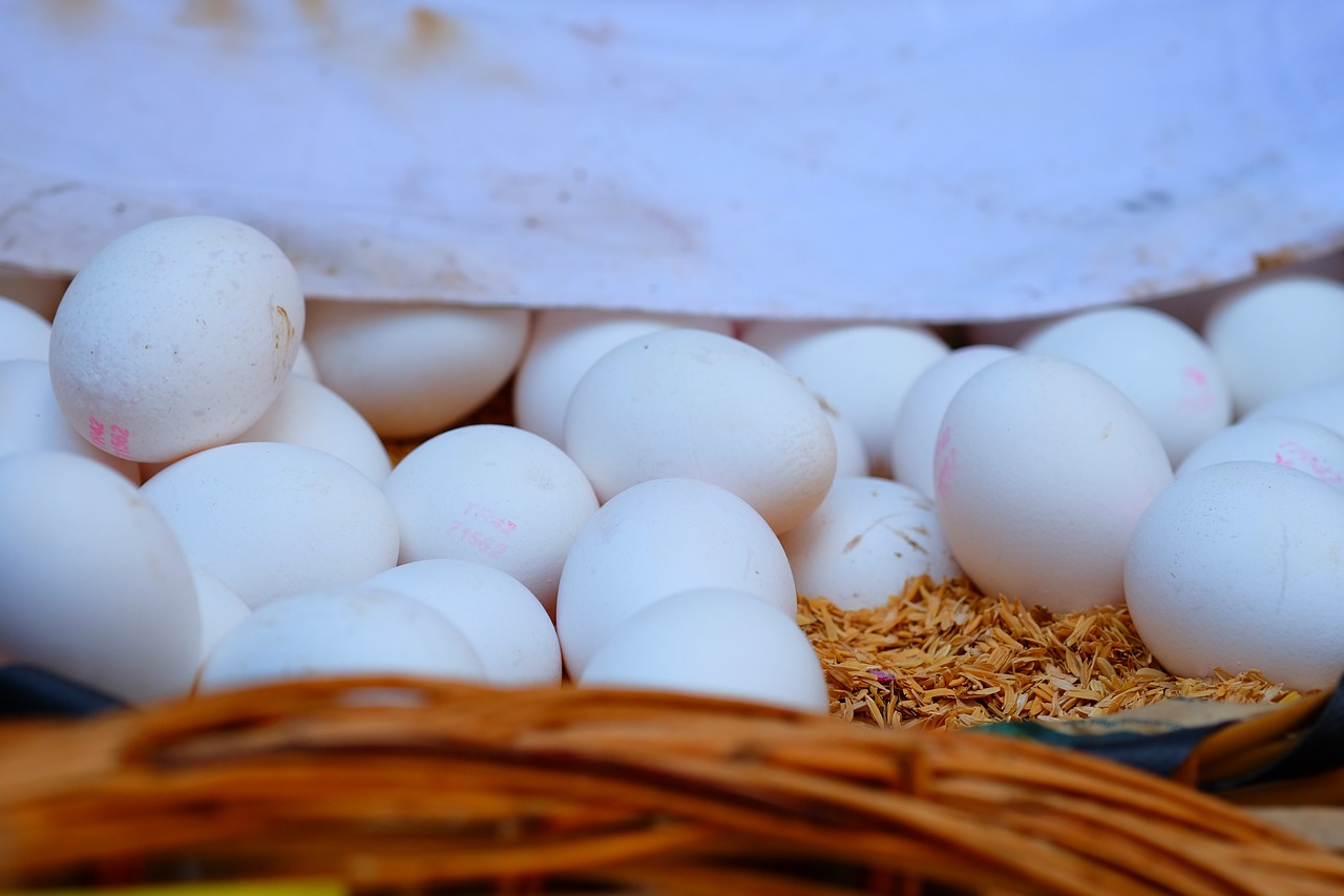 內(nèi)蒙古煤炭?jī)r(jià)格走勢(shì)圖最新分析與展望，最新價(jià)格動(dòng)態(tài)及未來(lái)趨勢(shì)展望