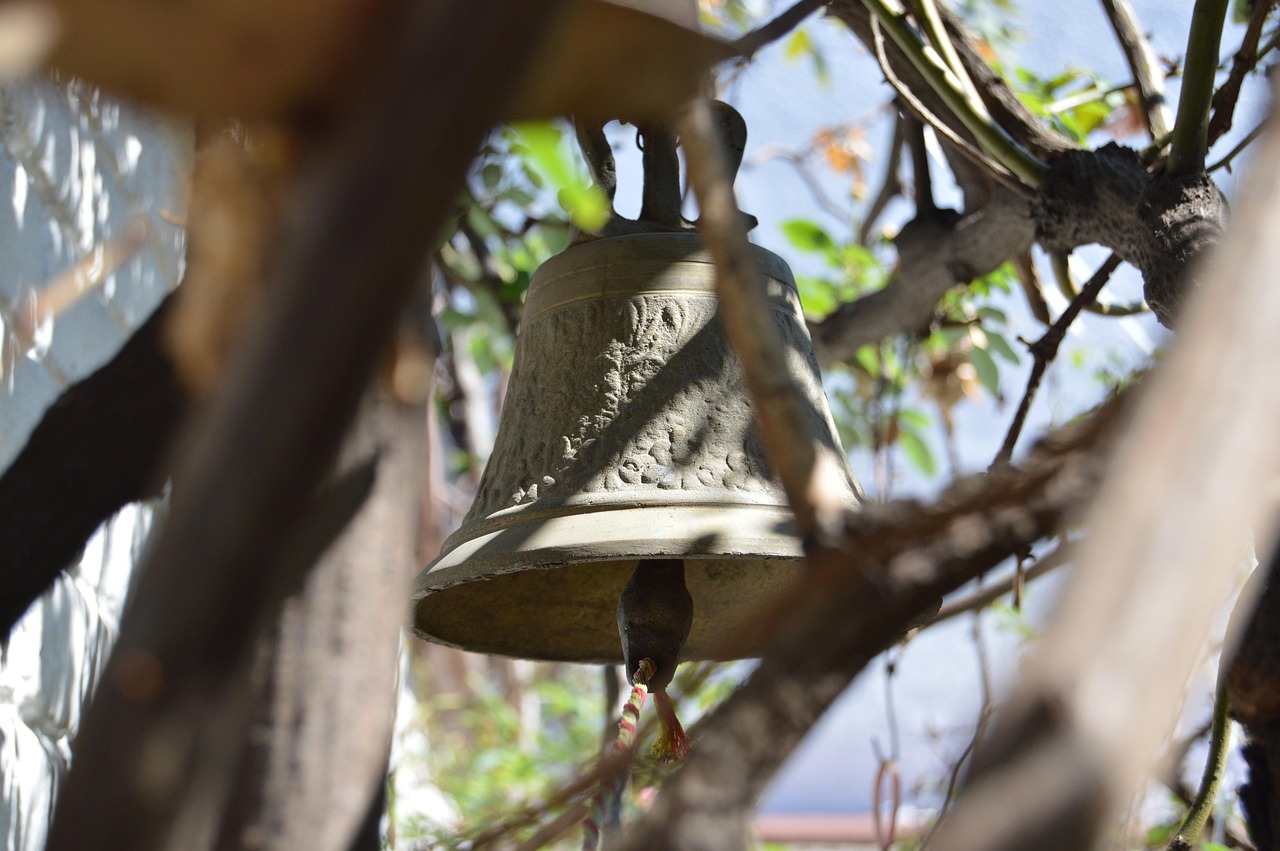 藤縣二手房市場最新動態(tài)及消息分析