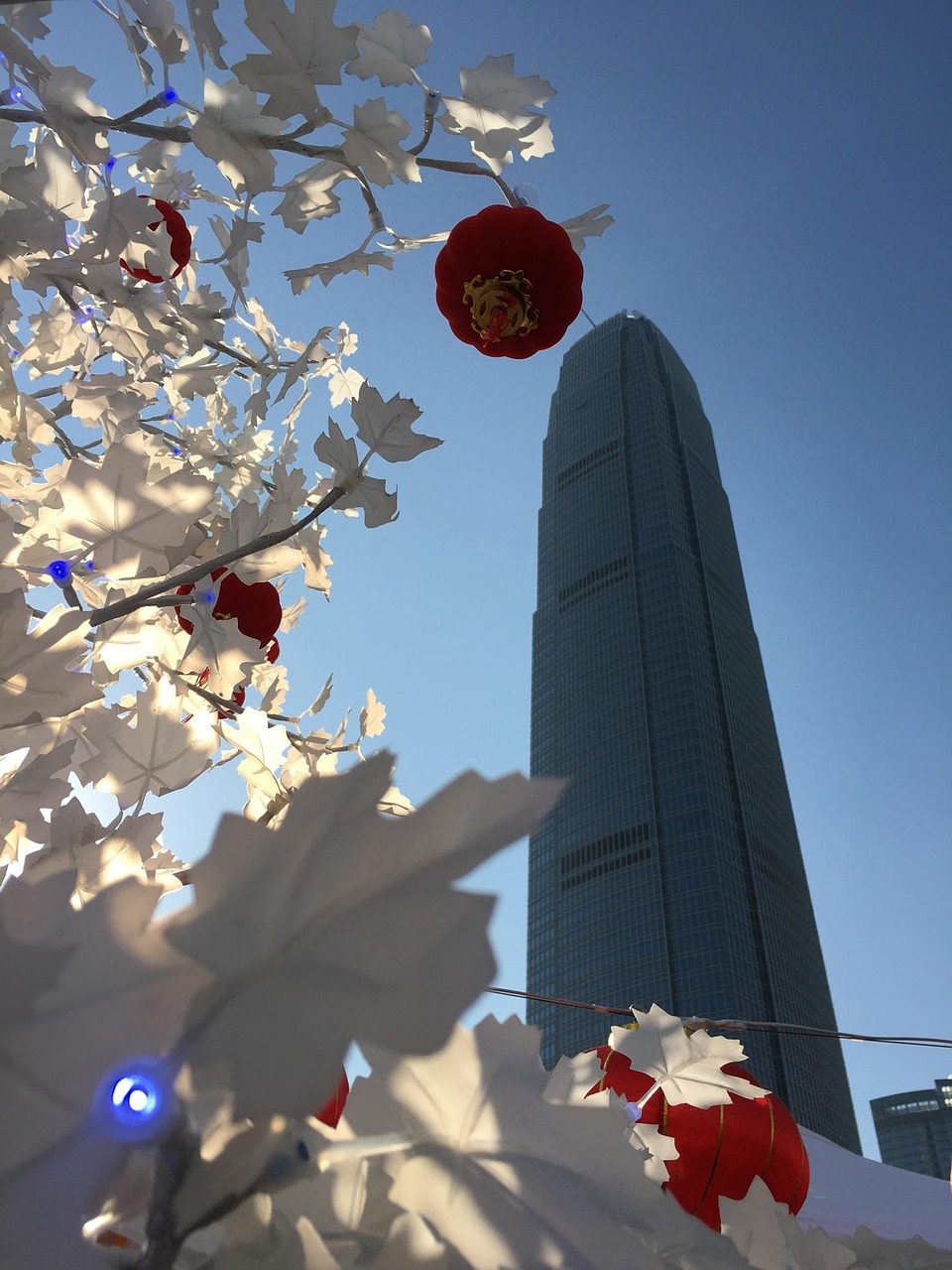 漫漫長夜新版本砍樹探索，全新體驗(yàn)之旅