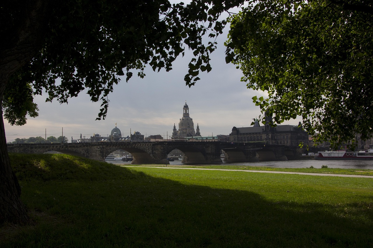 成華圣燈公園最新進(jìn)展，城市綠色心臟蓬勃生長
