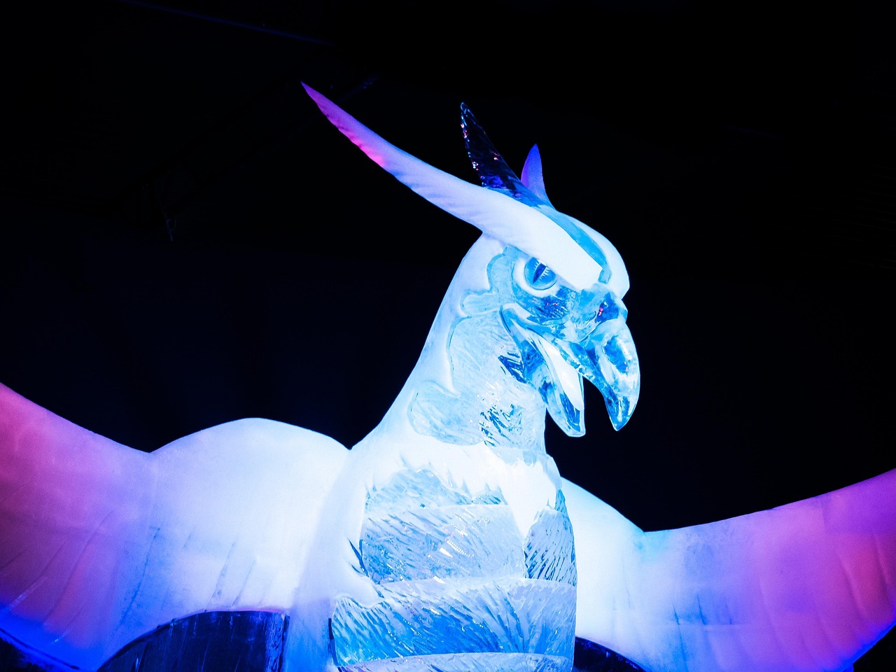 內(nèi)蒙古王東偉最新動(dòng)態(tài)，揭開神秘面紗，展現(xiàn)新時(shí)代風(fēng)采