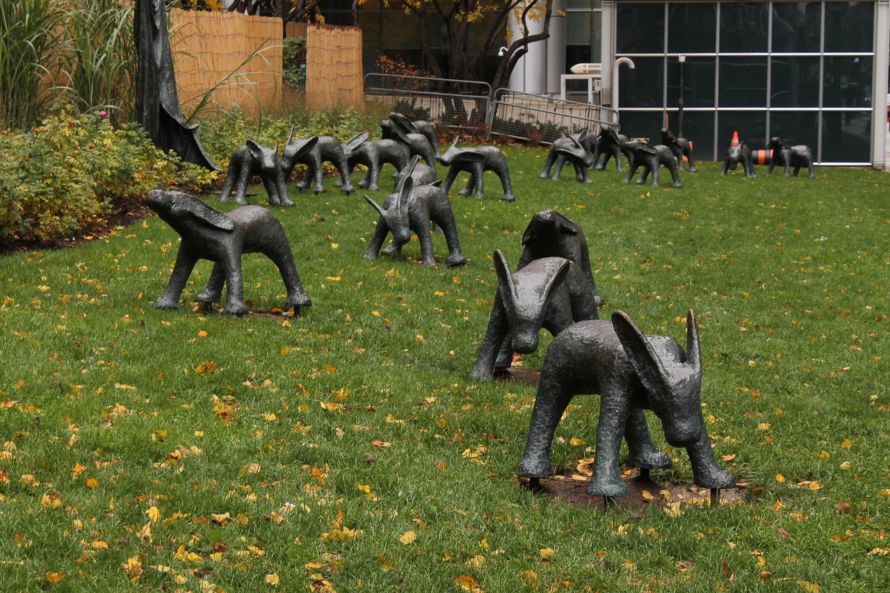 安湯一體化最新動態(tài)，引領(lǐng)城市發(fā)展的新浪潮