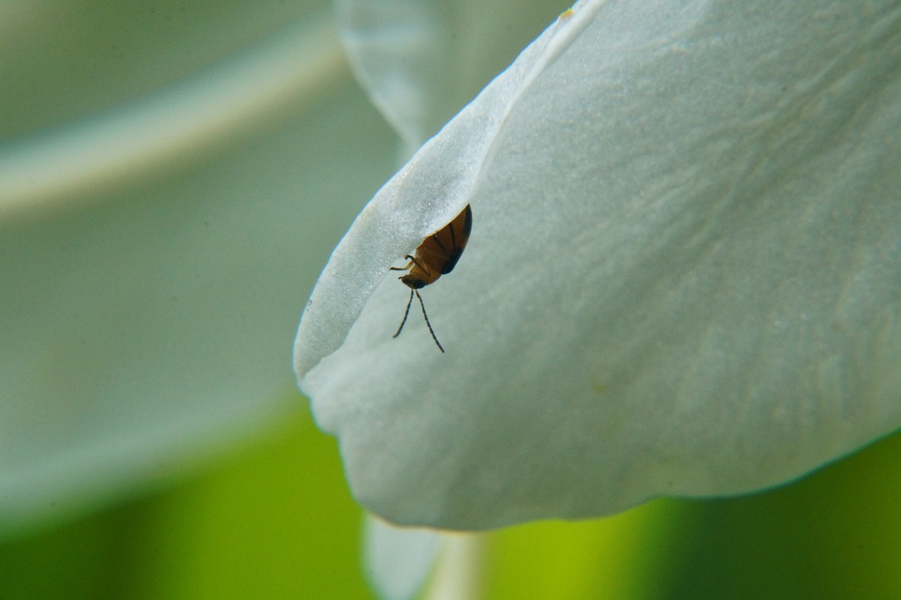 濟(jì)南地鐵R2線最新進(jìn)展報(bào)告更新，最新動(dòng)態(tài)揭秘！