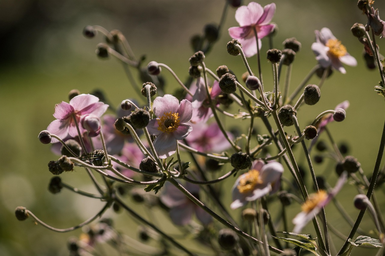 最新獲取信息資源及其影響，探索前沿領域的最新動態(tài)