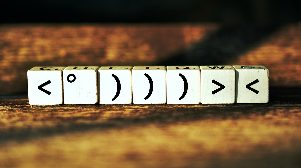 揭秘武警最新肩章，榮譽與職責的象征標志