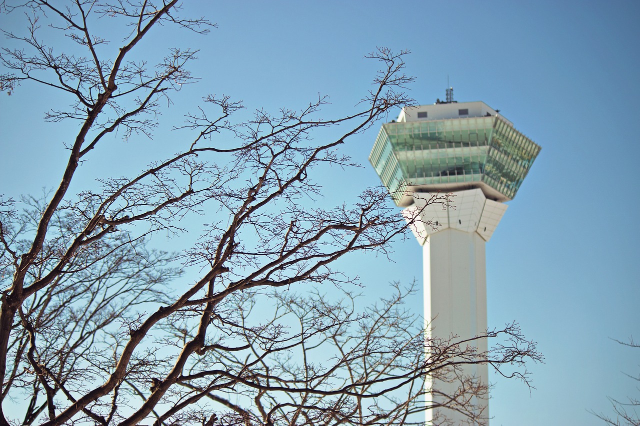 決斗之城最新動(dòng)態(tài)，新時(shí)代卡牌競技盛宴揭秘